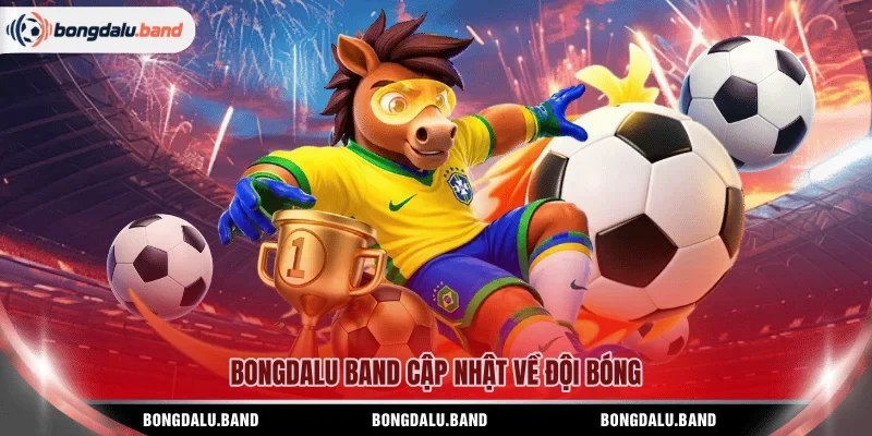 BONGDALU BAND cập nhật về đội bóng
