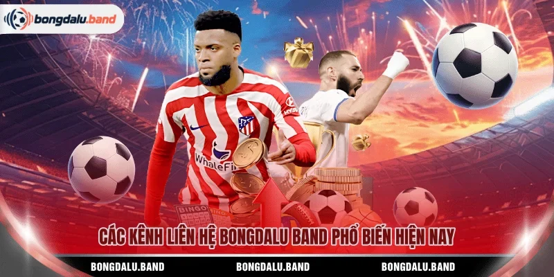 Các kênh liên hệ bongdalu band phổ biến hiện nay