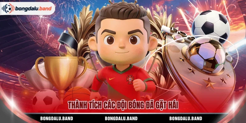 Thành tích các đội bóng đã gặt hái